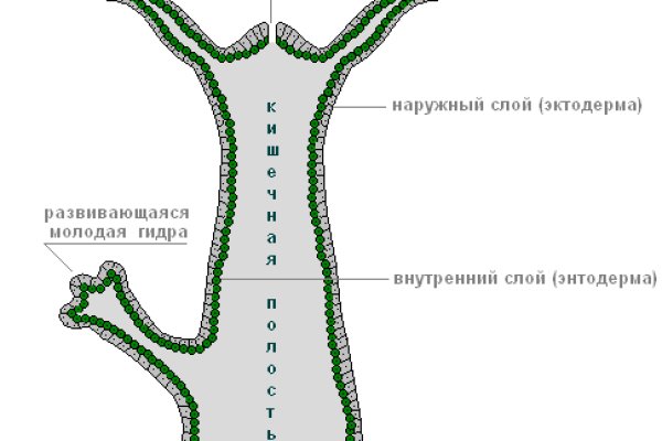 Mega tor официальный сайт